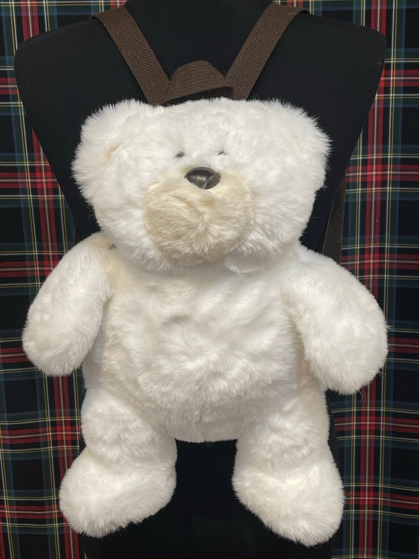 Teddy Bear back Pack