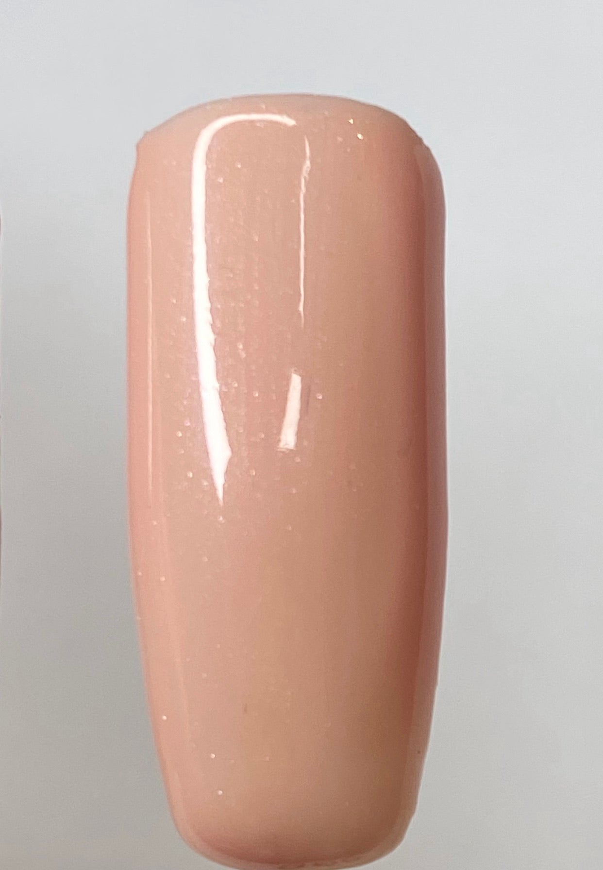 03 ANDROMEDA Color Flash INC